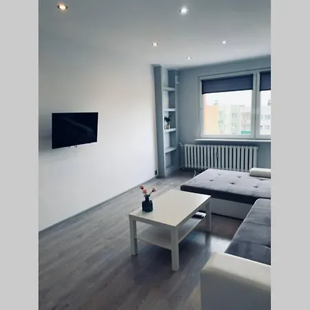 公寓 Modern Apartment,close To City Center,free Parking,wifi