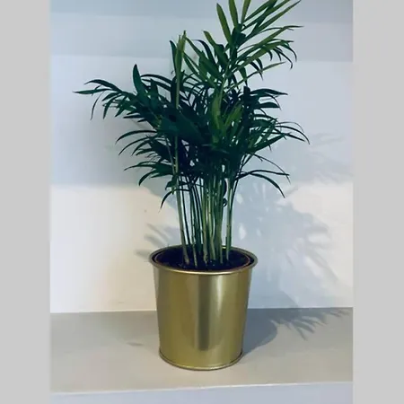 Modern Apartment,close To City Center,free Parking,wifi 公寓