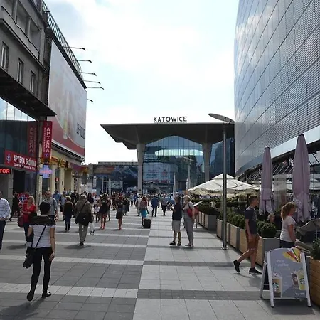 Modern Apartment,close To City Center,free Parking,wifi 公寓 卡托维兹